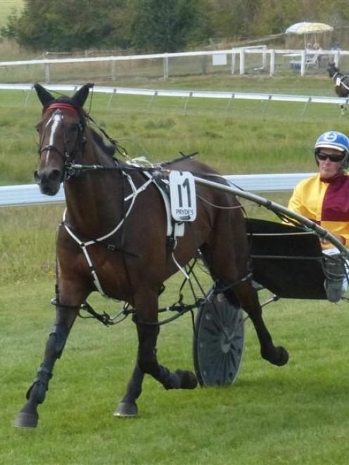 Devil May Care is one half of a two-pronged attack for Hamish Hunter in the Kurow Cup tomorrow....
