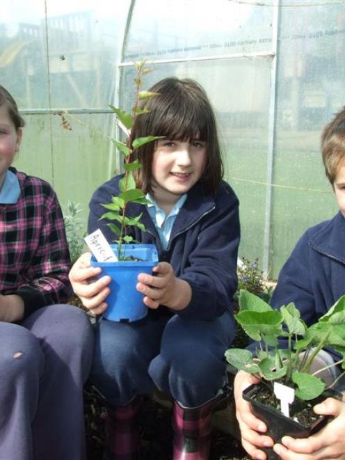Displaying plants they grew to sell as a fundraiser are (from left) Waihola District School...