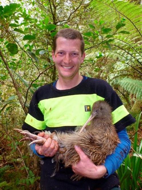 Doc Te Anau biodiversity ranger Pete McMurtrie with one of the two breeding kiwis introduced to...