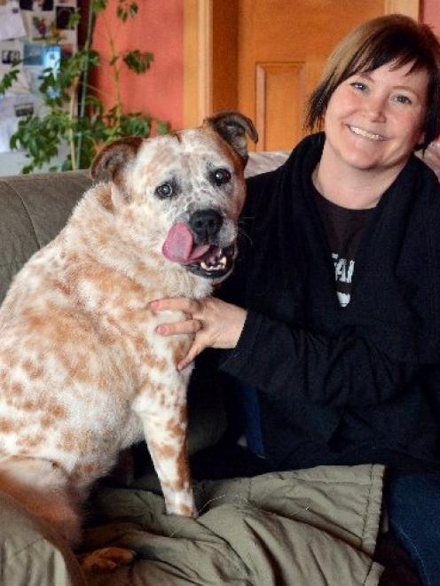 Dog foster mother Aimee Ward (40) with blind cattle dog Jemma in Dunedin yesterday. Photo by...