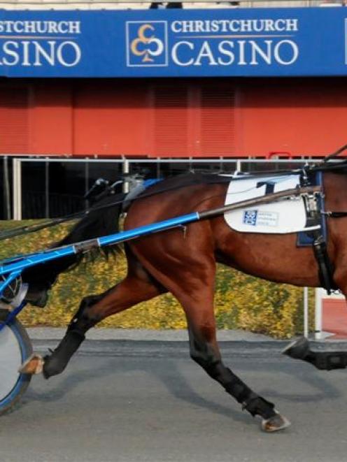 Donaldson, who warrants respect at Westport today after consistent form in his latest racing....