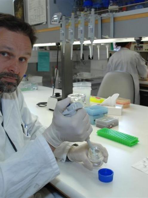 Dr Bruce Robertson in the conservation-genetics laboratory at the University of Otago zoology...