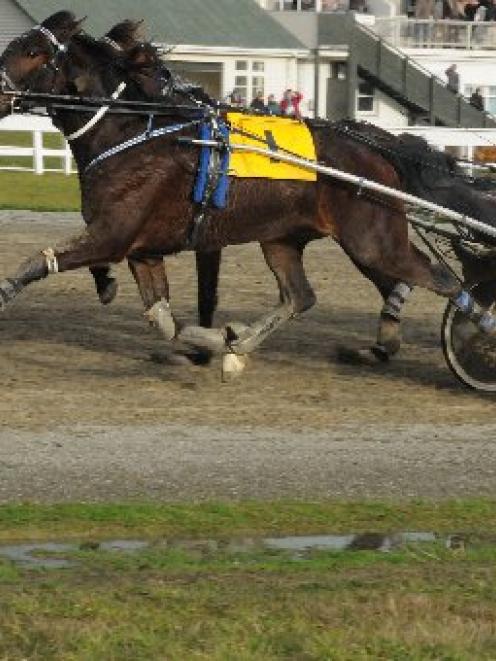 Dreamit shades Raymaurwarrhen Sun at Oamaru yesterday. Photo by Tayler Strong.