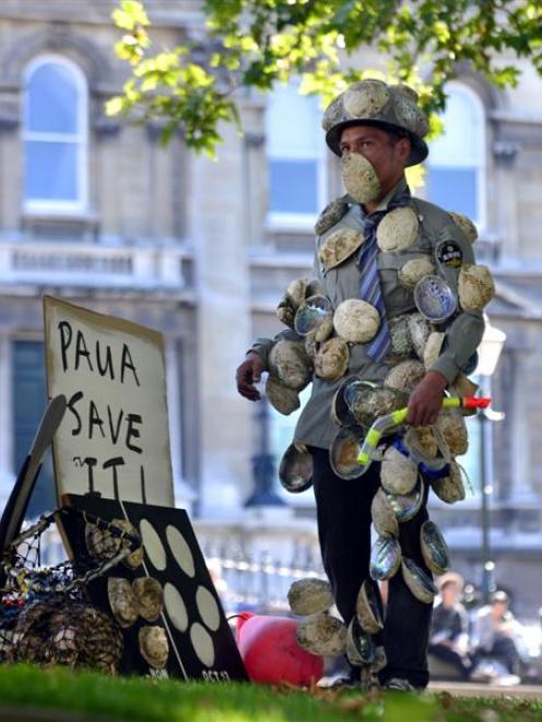 Dunedin artist Simon Kaan at the 'paua to the people' protest yesterday in the Octagon. Photos by...
