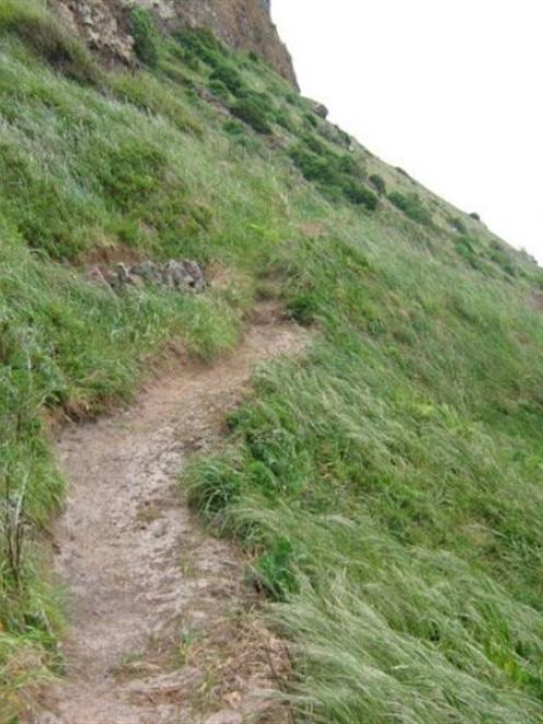 Dunedin City Council staff fear trampers using this unauthorised track built below a cliff at...