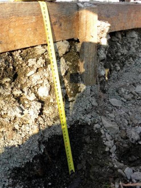 Dunedin city councillor-elect Lee Vandervis says his photograph of an 11,000-volt power cable...