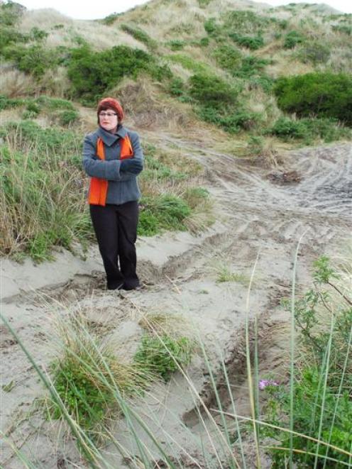 Dunedin city councillor Fliss Butcher surveys damage done by four-wheel-drive vehicles at Smaills...