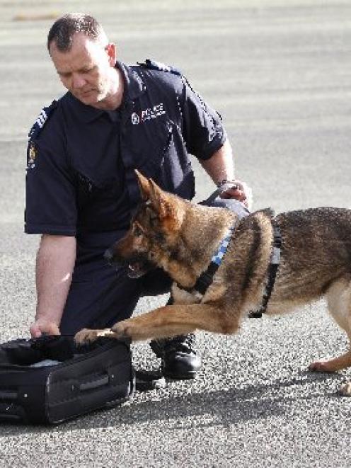 Dunedin police dog handler Sergeant Craig Baron and 5-year-old police dog Evo, at the National...