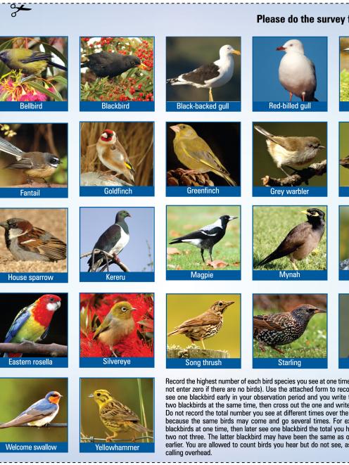 <a href="http://www.odt.co.nz/files/story/2014/06/dunedin_up_with_the_birds_national_survey_shows...