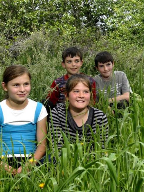 East Taieri School pupils (from left) Maddie Campbell (11), Curtis Stent (10), Charlotte Cotter ...