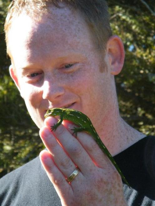 EcoGecko Consultants herpetologist Carey Knox says the smuggling  of  rare jewelled geckos is...