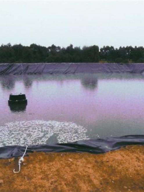 Effort is going in to make sure dairy effluent ponds are water tight and functional, such as this...