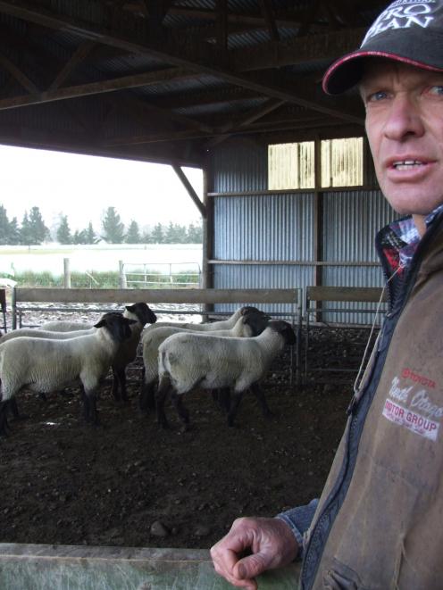 Eric Ross at home on his Hakataramea farm yesterday with some of his Suffolk sheep. Photo by...