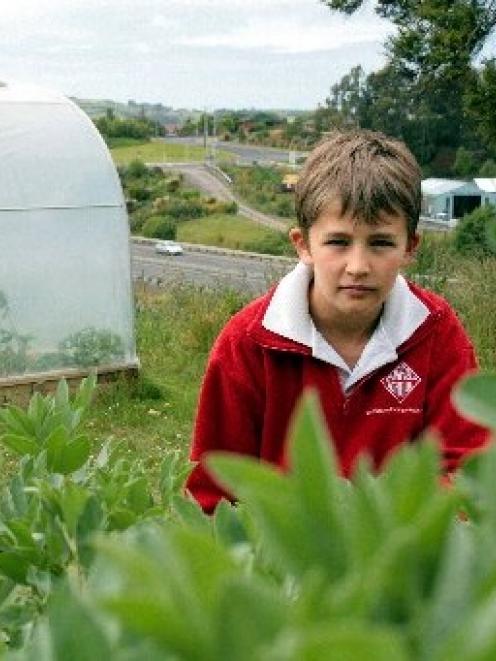 Fairfield School pupil Ben Wilden (10) checks the progress of broad beans that are being grown on...