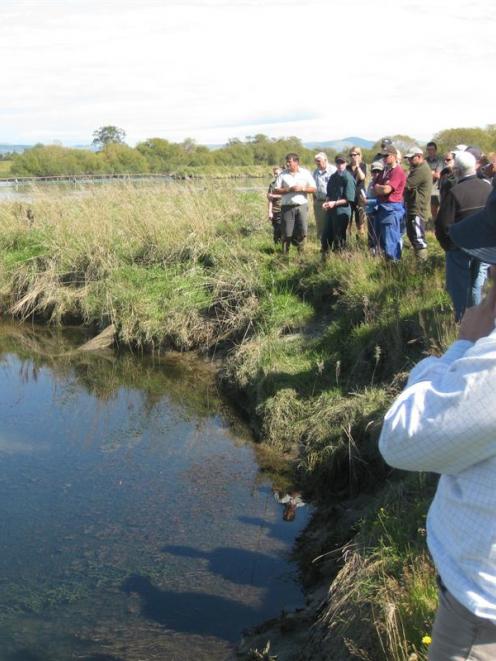 Farmers learn about whitebait habitats and how to protect them at an Otago Regional Council open...