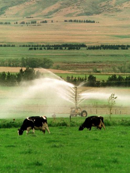 Farmers say water quality limits could threaten farm viability. Photo ODT files.