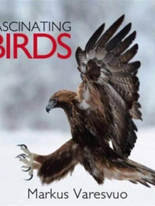 Fascinating birds <br> <b> Mark Varesuvo </b> <br> <i> New Holland