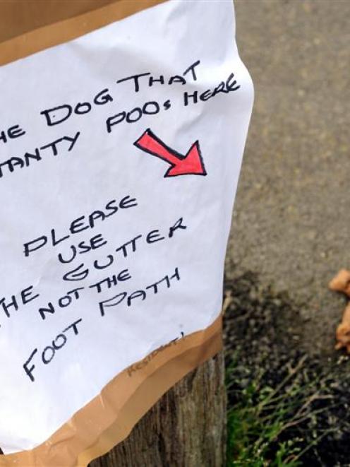 Fed up with dog poo in Royal Tce, Dunedin, a resident took matters into their own hands. Photo by...