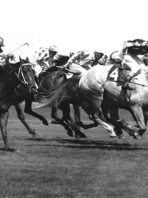 Fifty yards to go in the 1970 Melbourne Cup and eventual winner, Bagdhad Note (No 4) had a...