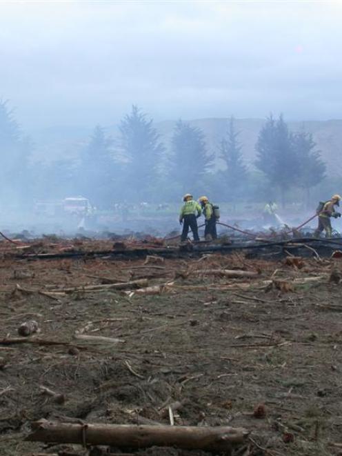 Firefighters battle a controlled burn that got out of control in plantation slash just east of...