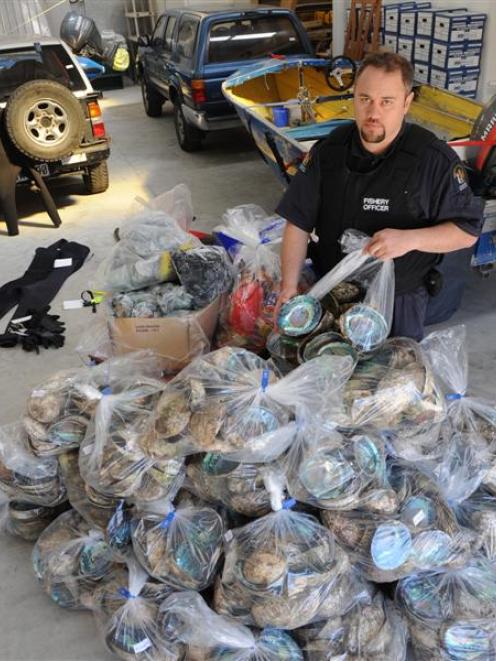 Fisheries surveillance officer Tyrone Robinson, of Dunedin, with the paua shells and meat...