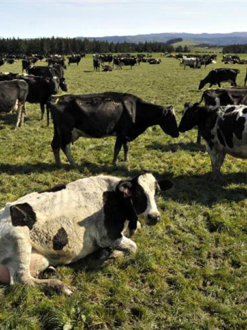 Focus on  supporting farmers required. Photo by Gerard O'Brien.