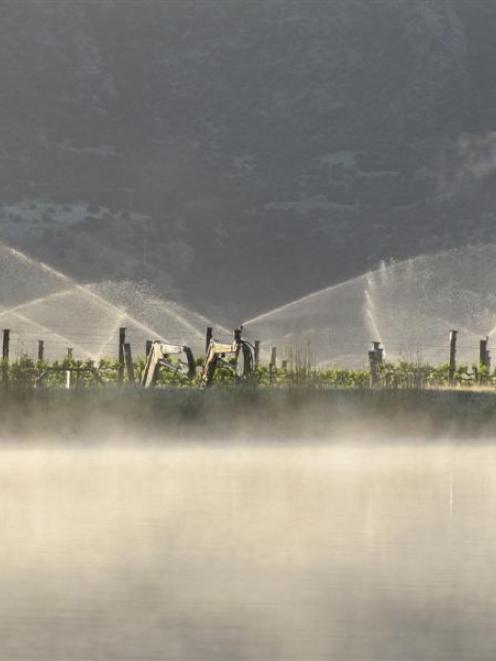 Fog hangs over an irrigation pond feeding overhead frost-fighting sprinklers on a vineyard...