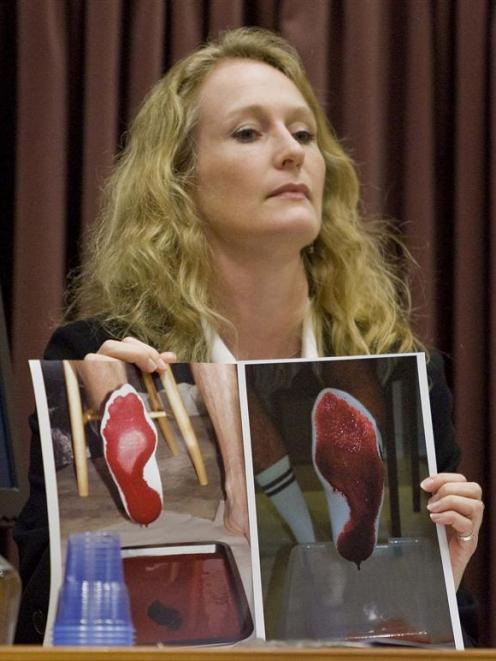 Forensic scientist Dr Anna Sandiford displays photos of bloodied feet at the Bain retrial yesterday.