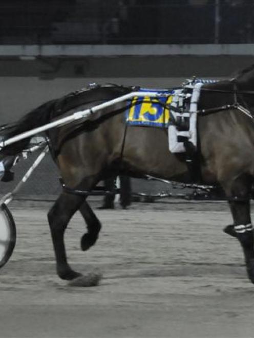 Former Otago pacer Terrorway, who will start in the Victoria Cup at Melton on Saturday. Photo by...