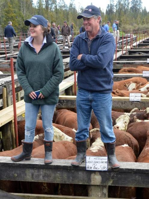 Fox Glacier farmer Wayne Williams and his daughter Laura with their cattle at the Haast cattle...