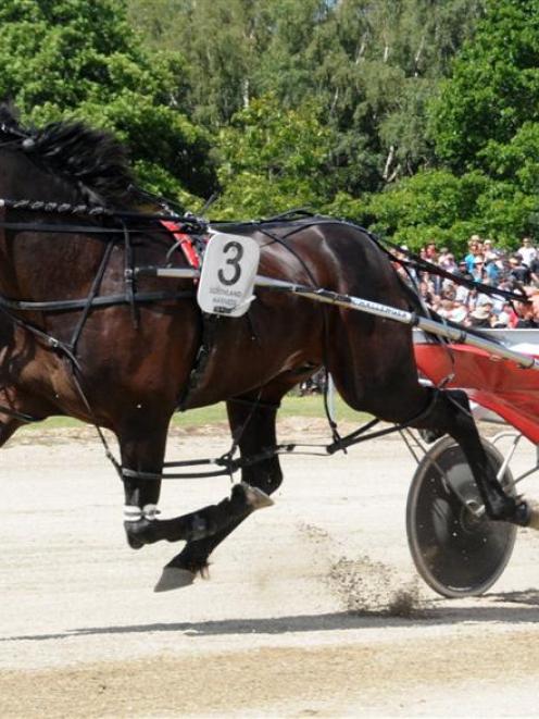 Franco Ledger, who gained a start in the New Zealand Cup with his win at Addington last night....