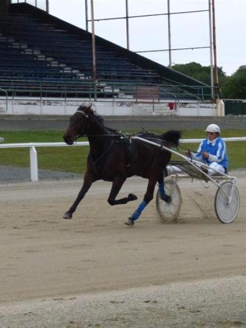 Free Dreams stretches out at the Forbury Park trials yesterday. Photo by Matt Smith.
