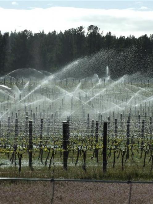 Frost-fighting meant a sleepless night for many grape growers overnight on Thursday, especially...