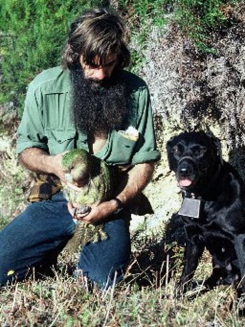 Gary Aburn with kakapo dog Mandy, Maud Island, April 1982. PHOTO:  DAVE CROUCHLEY