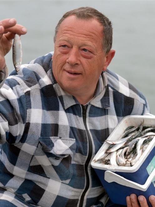 Geoff Cole, of Calton Hill, caught 200 sprats off the wharf yesterday and hoped it signalled a...
