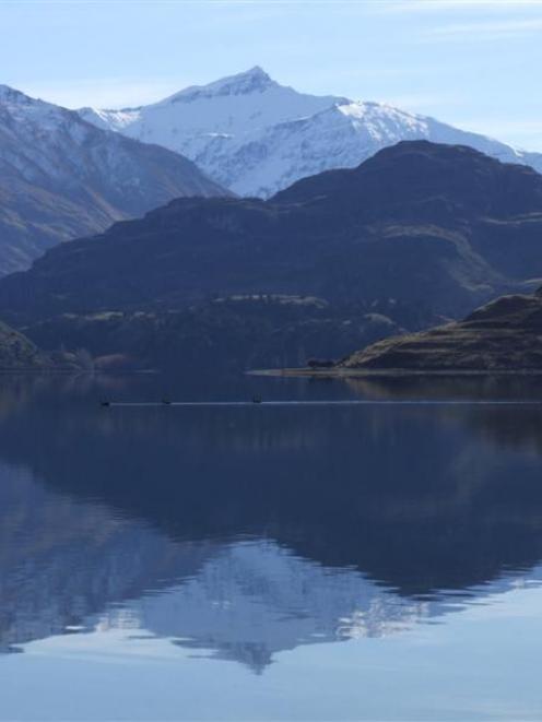 Glacier-fed Lake Wanaka can look clean and idyllic, but the algae growing in its depths is...