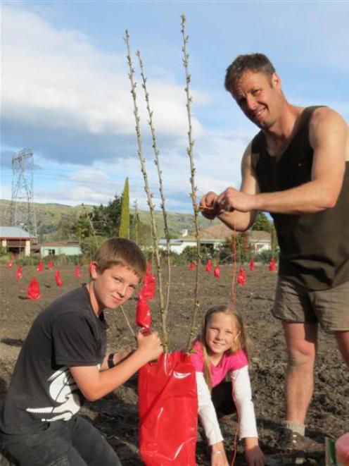 Golden View orchard owner Glen Manderson, of Roxburgh, is trying a different way of growing his...