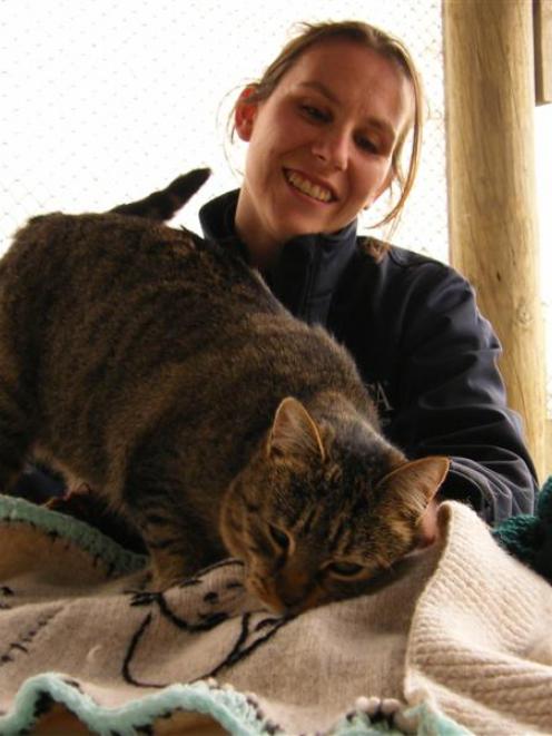 Gore SPCA manager Tanya Burke lets Daisy the cat get acquainted with some specially made woollen...