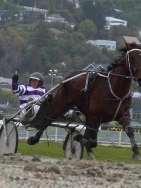 Graeme Anderson salutes after driving King Cyril to a win in the amateur drivers' mobile pace at...