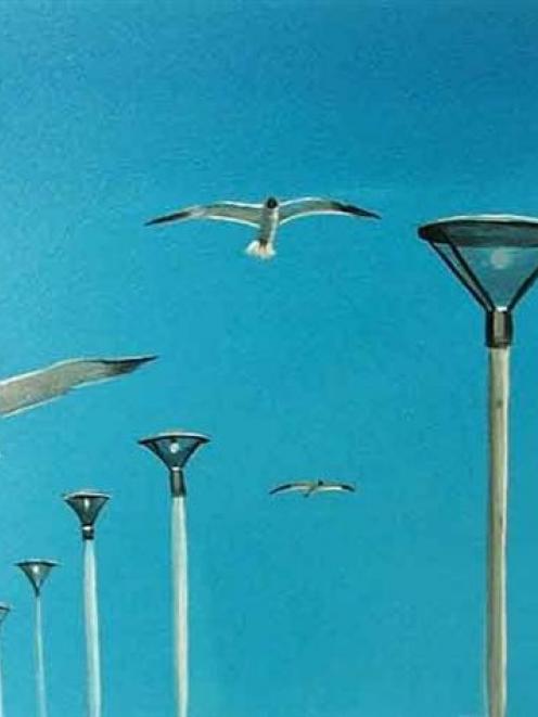 Gulls by Darren Tautari.