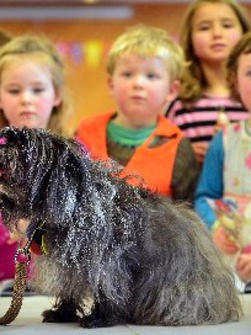 Hairy Maclary's four-legged friend, Delphi, visits the Dunedin Public Library yesterday. Photo by...
