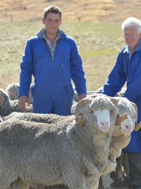 Hamish Jopp (left) and Colin Wallace prepare to send merino rams to Argentina from Moutere...