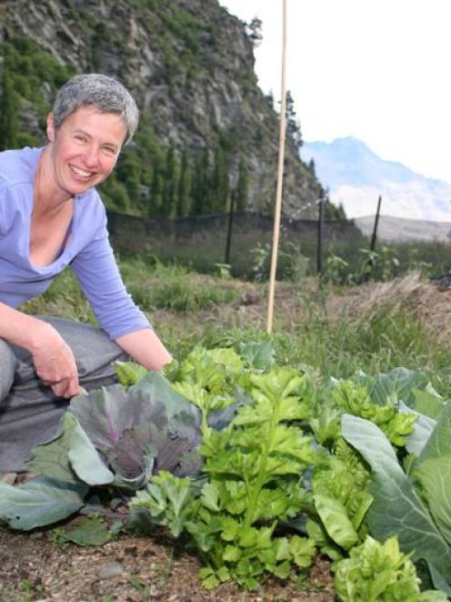 Harvest Community Gardens Network spokeswoman Robin Rawson works in the Gorge Rd Community Garden...