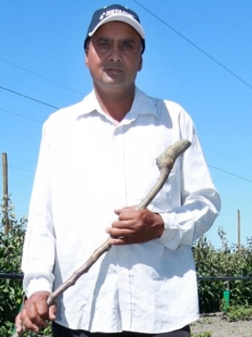 Hastings orchardist Kulwant Singh has been targeted twice by vandals, putting jobs at risk. Photo...