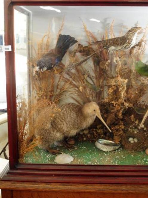 Stuffed birds in glass case top