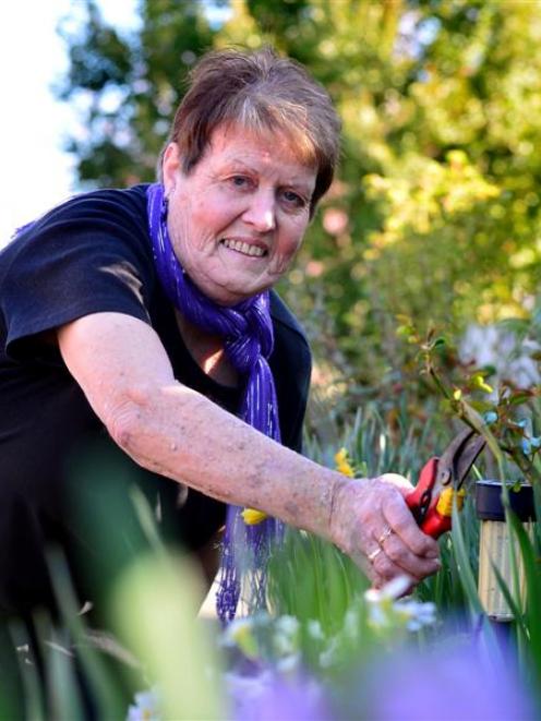 Hazel Jones, of Mosgiel, celebrates the 30th anniversary of her kidney transplant by spending...
