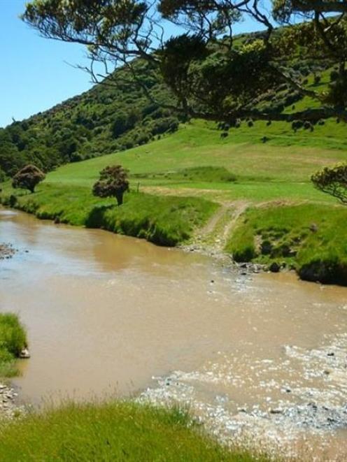Heavy sediments in the Catlins River are the result of farm sediment run-off. Photo by Fergus...