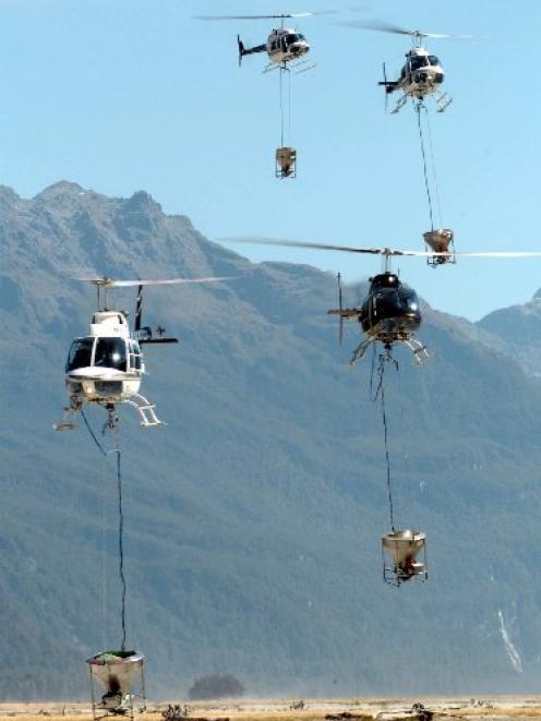 Helicopters arrive to be loaded with 1080 cereal bait to spread in the Arawhata Valley in 2008....