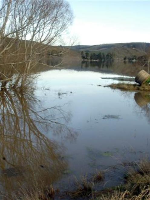 High water in 2007 makes for way too wet pasture. Photo by Craig Baxter.