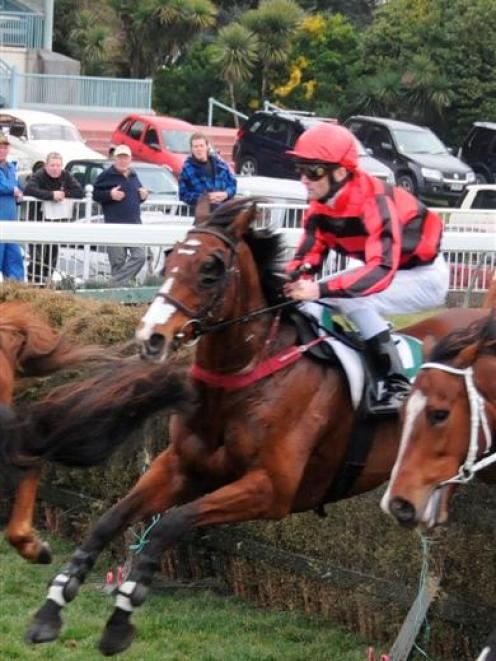 Ho Down,  who is attempting to improve on his fourth placing in the Grand National Steeplechase...